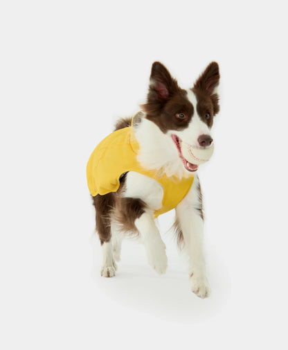 Koldpwoof Heated Dog Vest