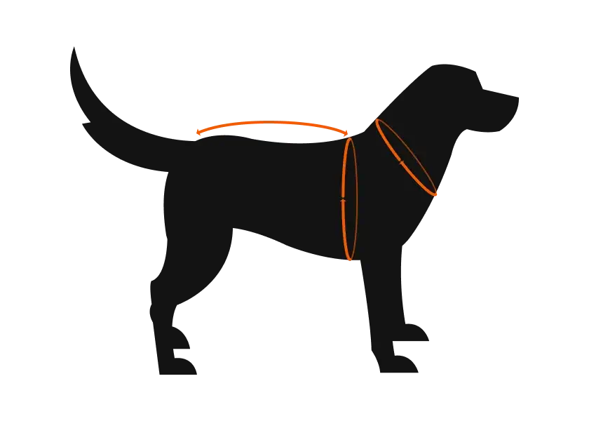 Dog Vests Size Chart | How to Measure: Chest Girth